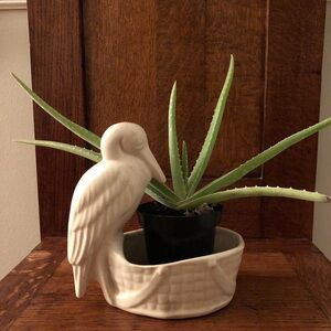 Ceramic Bird Planter